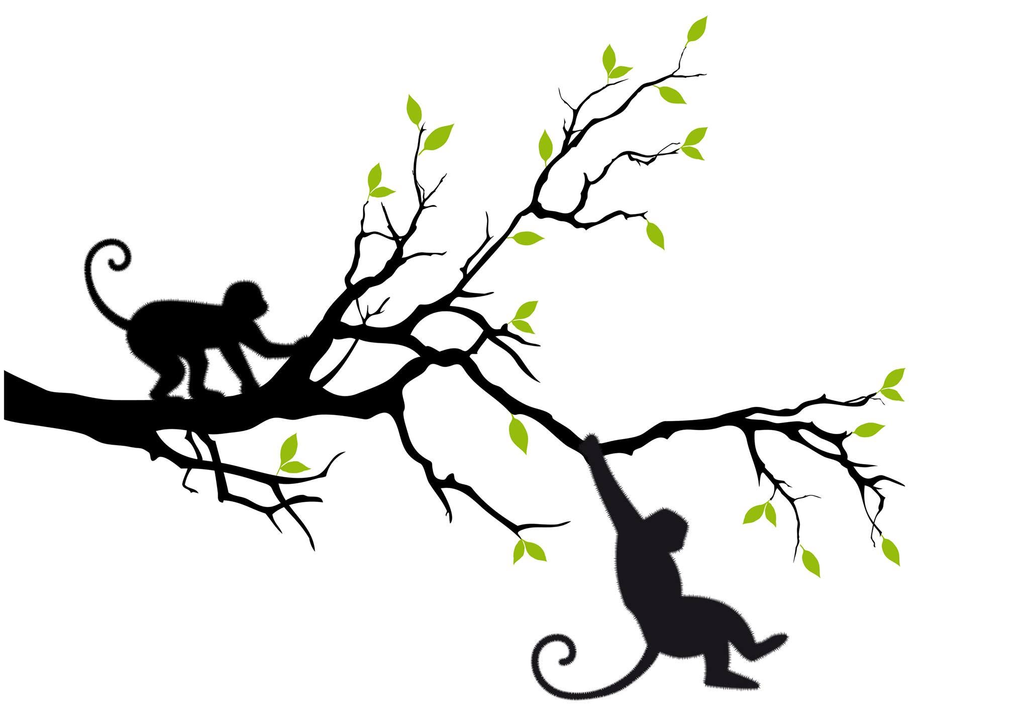 Arbor Monkees logo